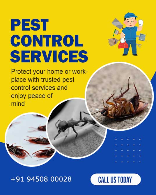 Pest Control Services