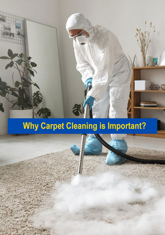 Why Carpet Cleaning Is Important?