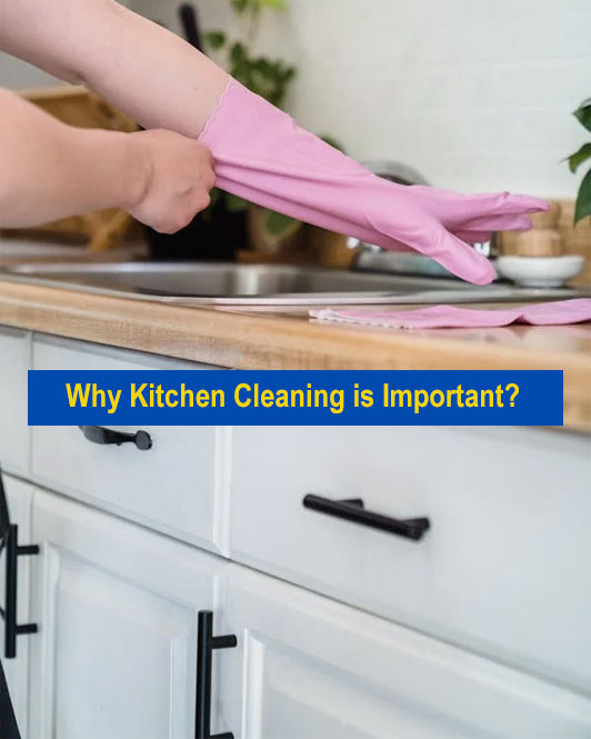 Why Kitchen Cleaning Is Important?