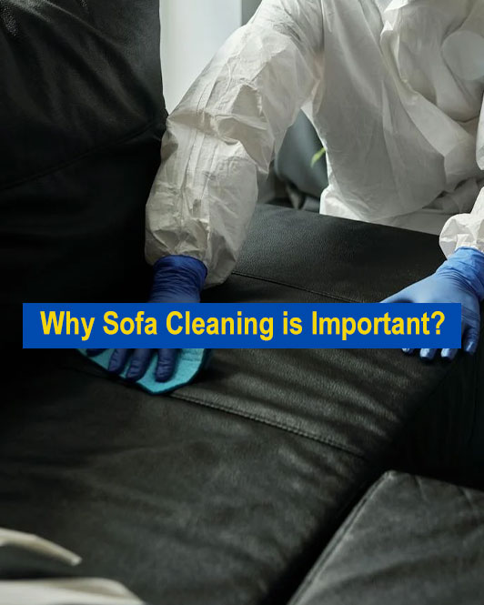 why sofa cleaning is important